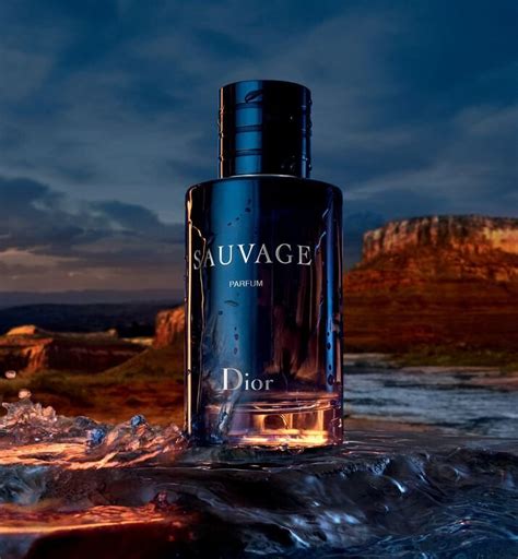 sauvage dior hd|dior sauvage cheapest price 100ml.